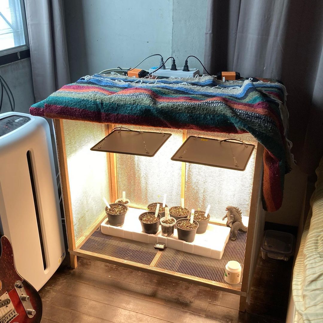 Easy and Low Budget DIY Grow Tent Ideas LumBuy