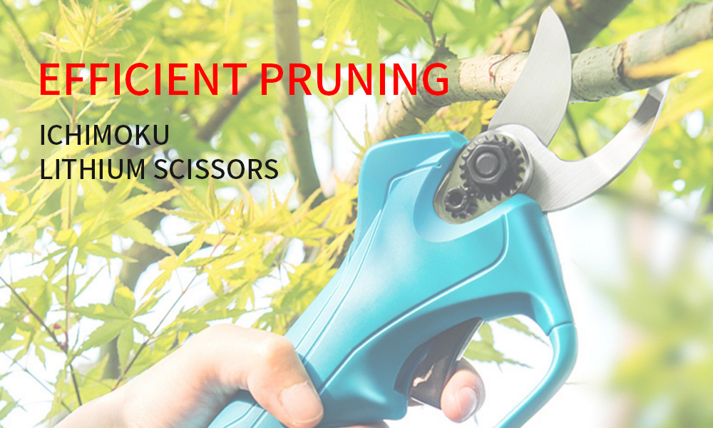 LIXIU electric-pruning-shears-pruner-sc-8603 (2)