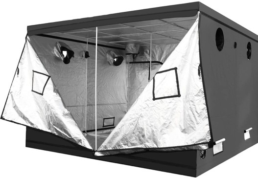 marijuana-grow-tent-4