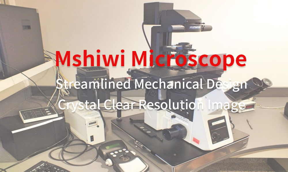 Compound microscope (1)