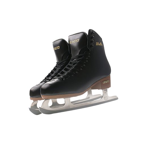 hockey skates (2)