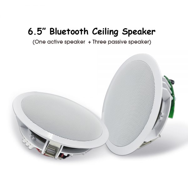 ceiling-speakers-2-2