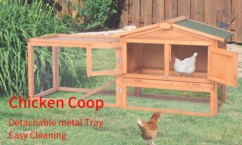 chicken-coop-10
