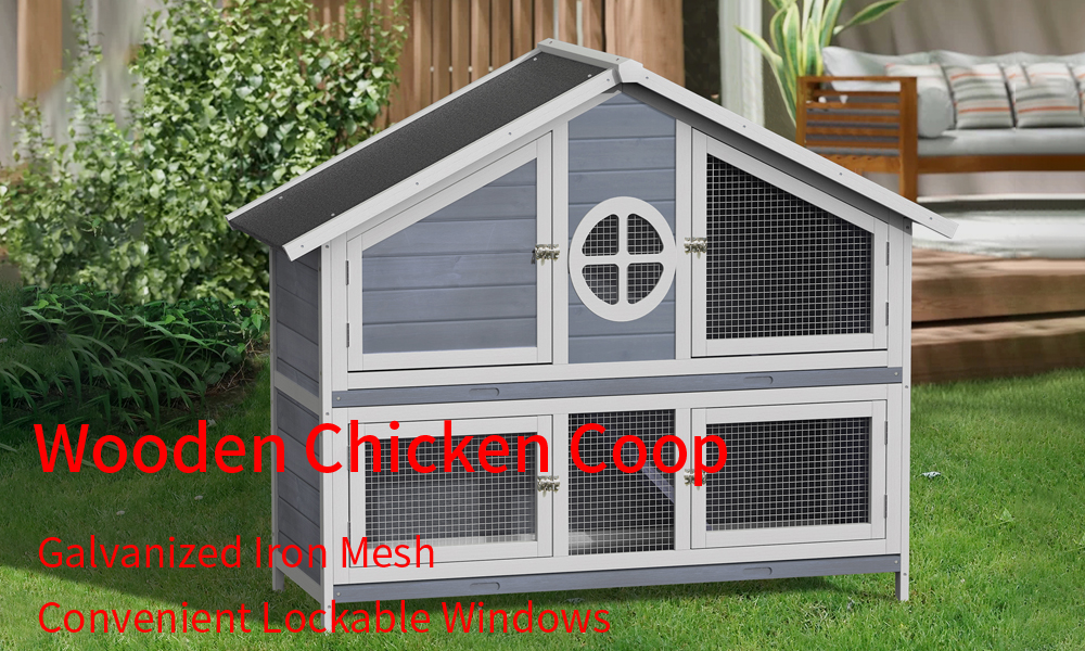 chicken-coop-11