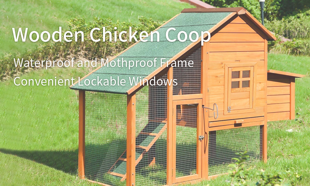chicken-coop-2-7