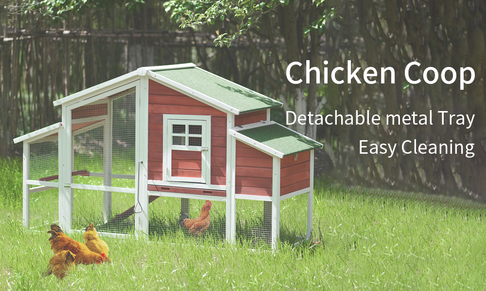 chicken-coop-3-7