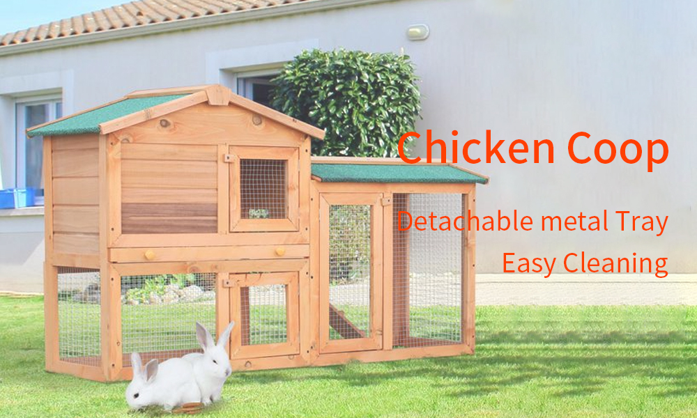 chicken-coop-7