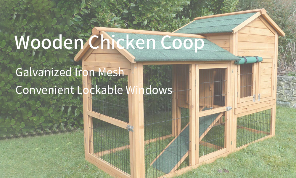 chicken-coop-8