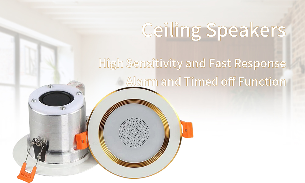 ceiling-speakers-1-4