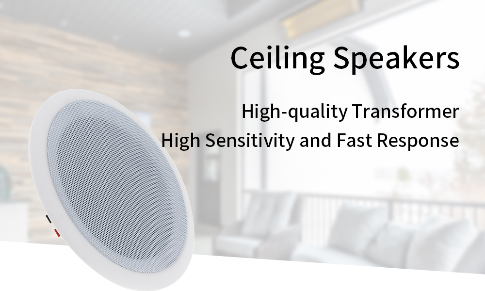 ceiling-speakers-1-5