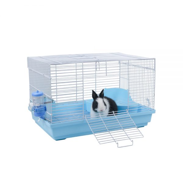 guinea pig cage (1)