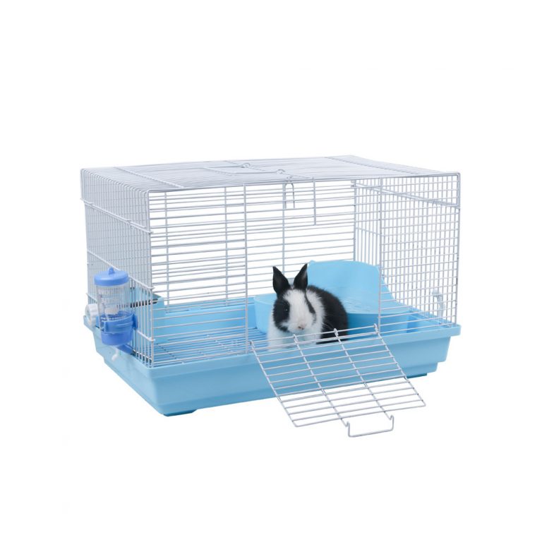 Best Large Guinea Pig Cages for Sale
