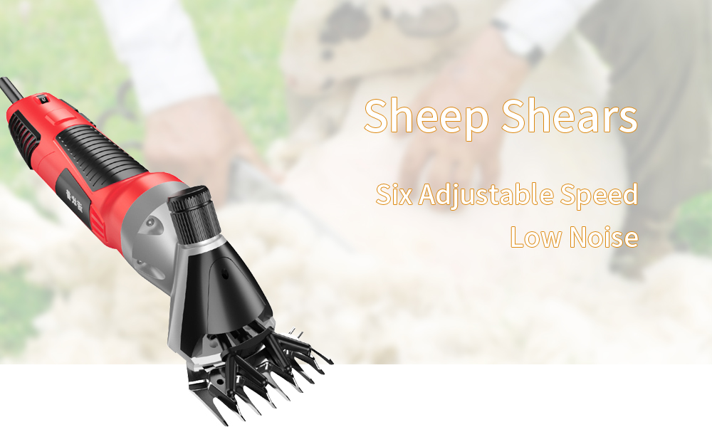 sheep-shears-1-1