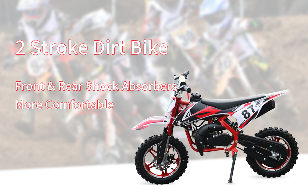 dirt bike (1)