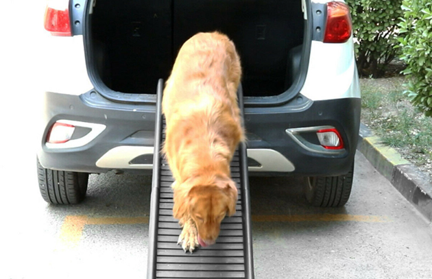 dog-ramp-6