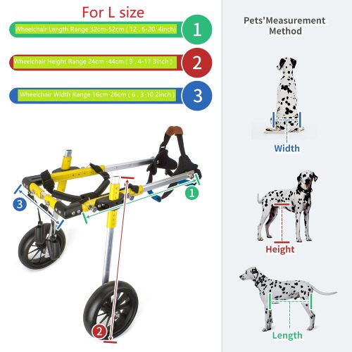 dog wheelchair (2)