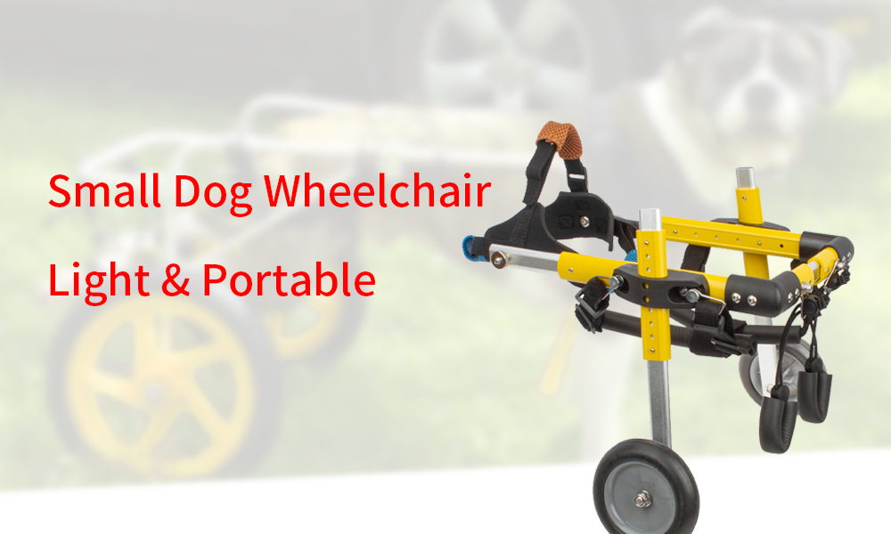 dog wheelchair (2)