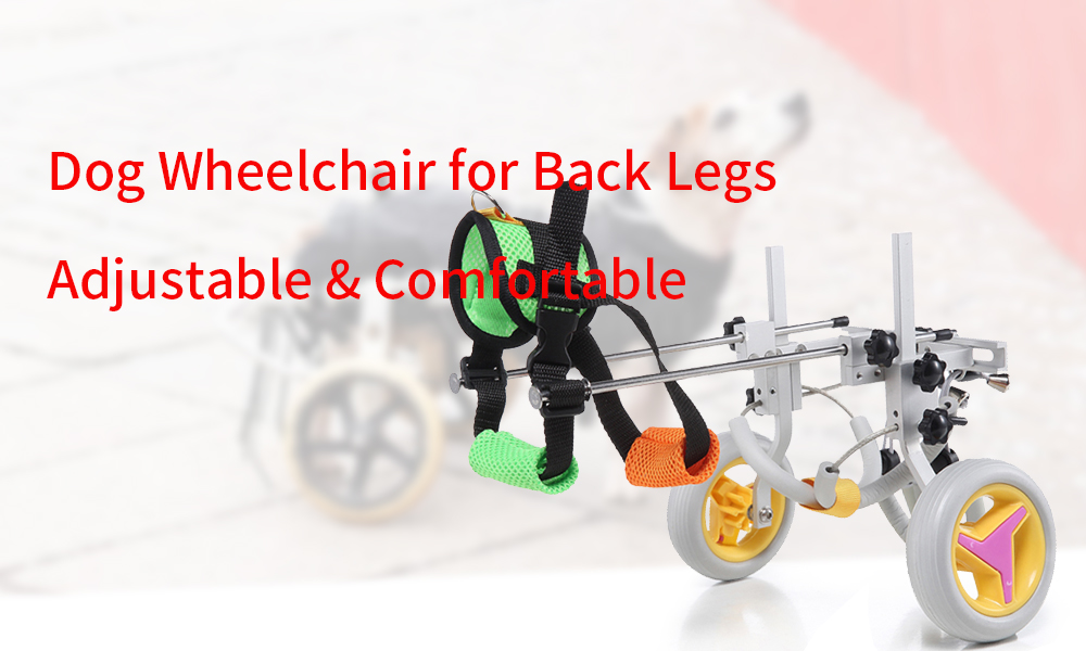 dog wheelchair (2)