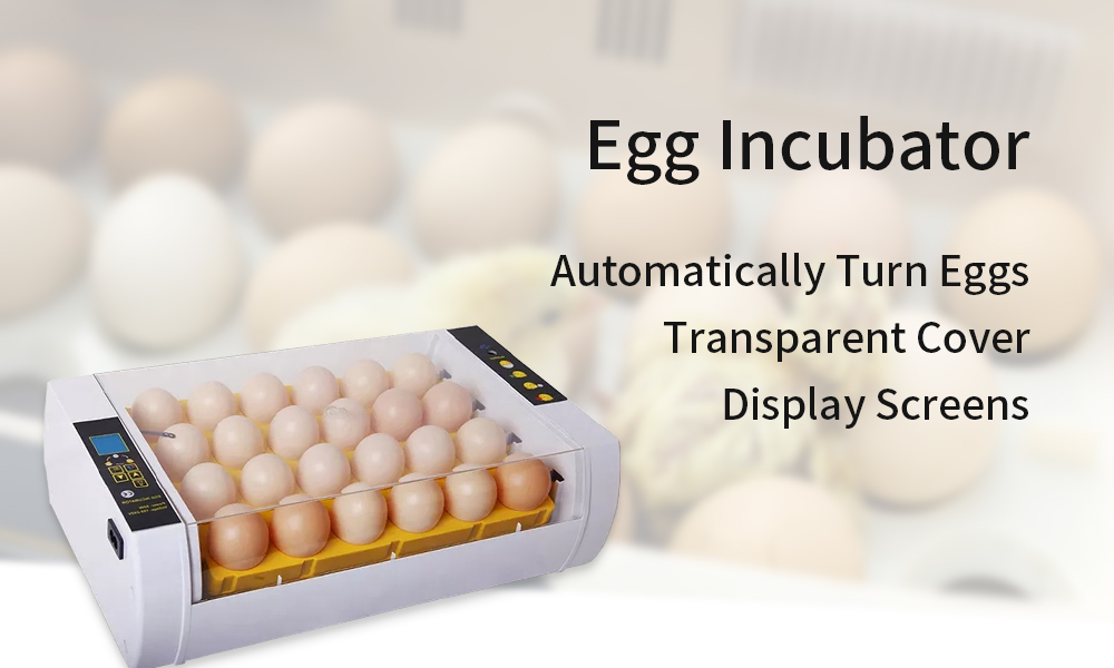 egg-incubator-1-1
