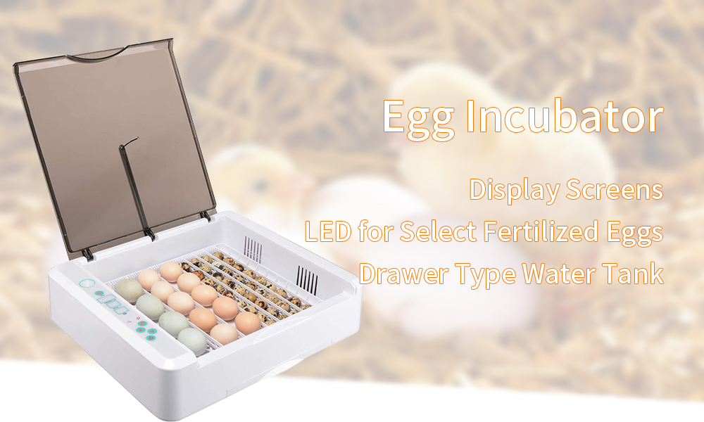 egg-incubator-1-10