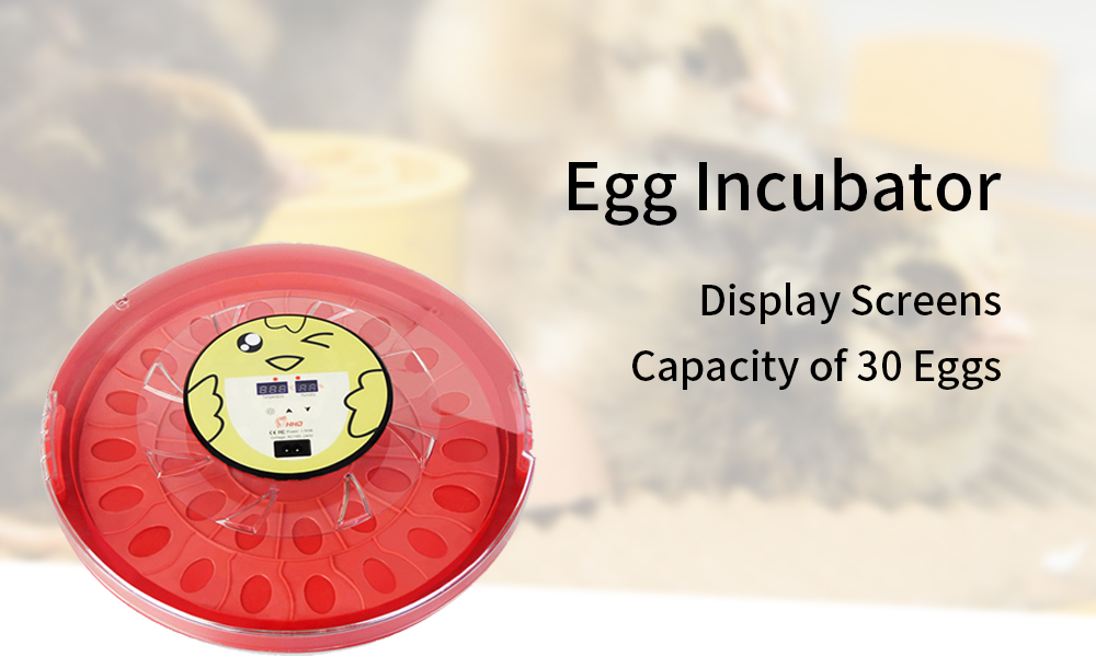 egg-incubator-1-12