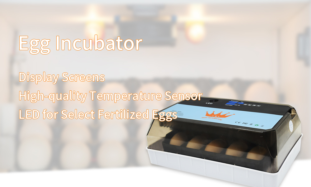 egg-incubator-1-3