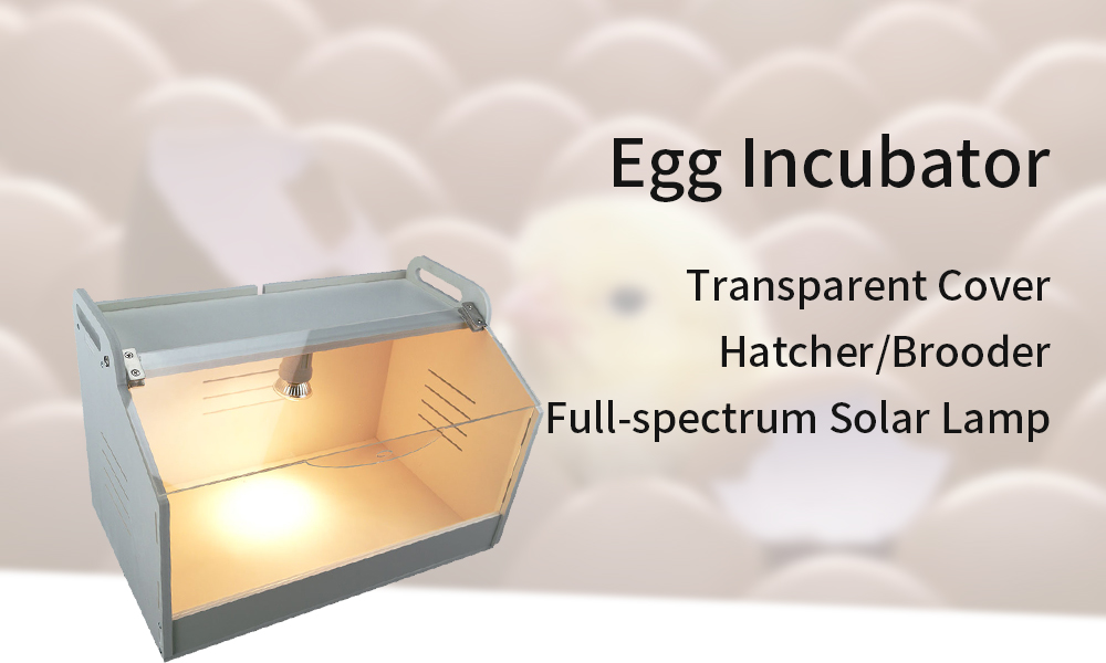 egg-incubator-1-6