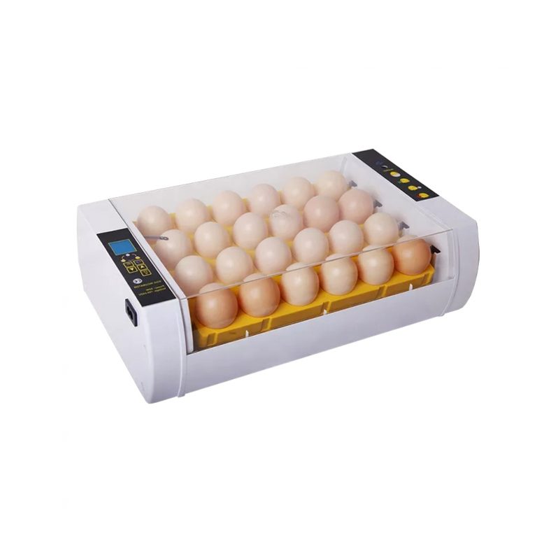 Best Egg Incubator with LED for Sale Transparent Auto Chicken