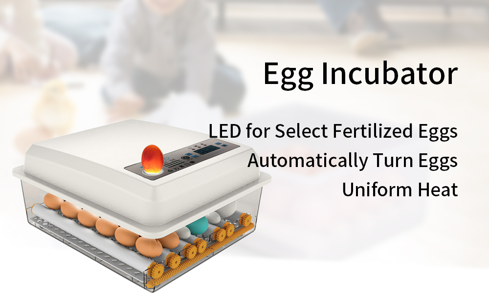 egg-incubator-1-8
