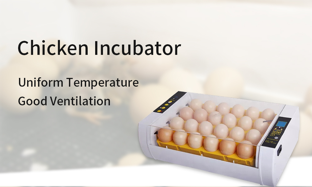 egg-incubator-2-1