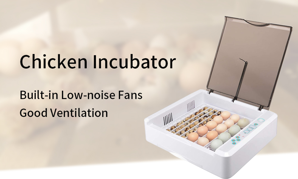 egg-incubator-2-10