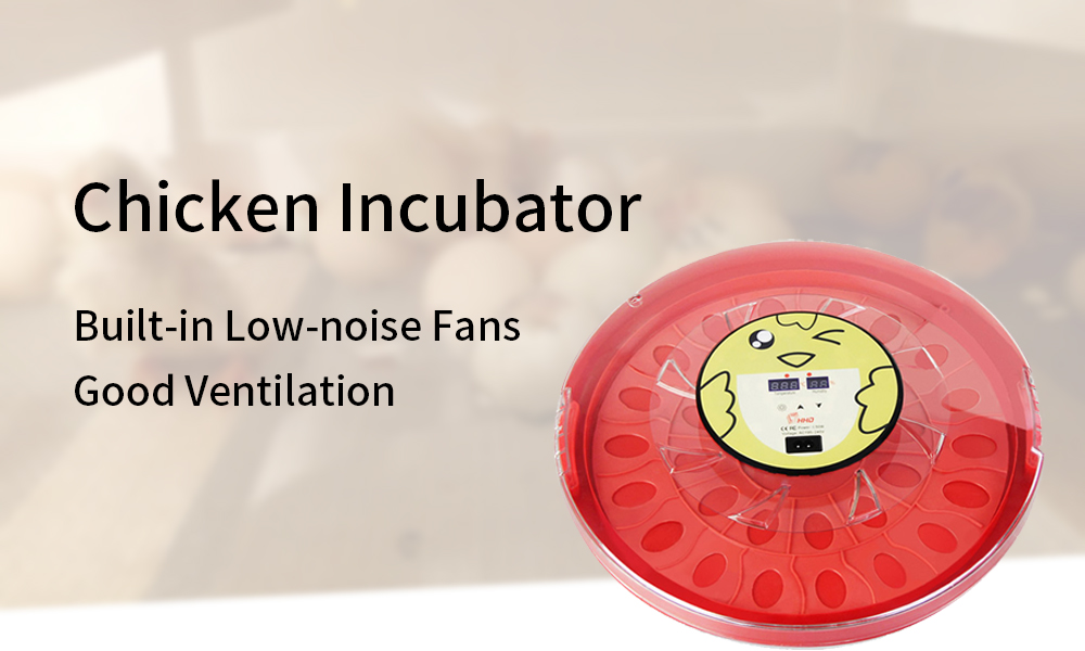 egg-incubator-2-12