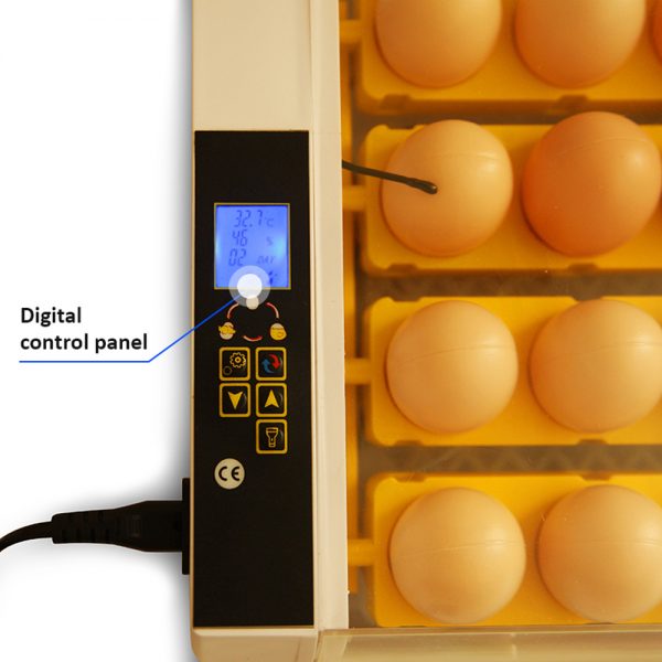egg-incubator-2