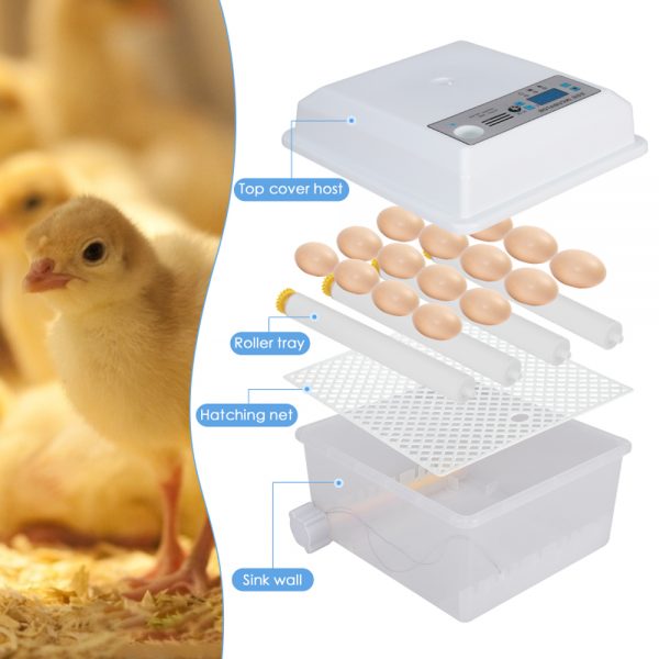 egg-incubator-2-7