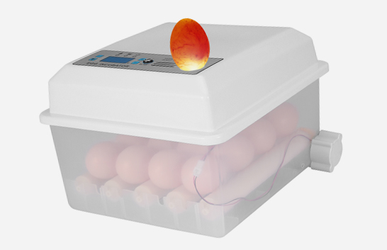 egg-incubator-5-4