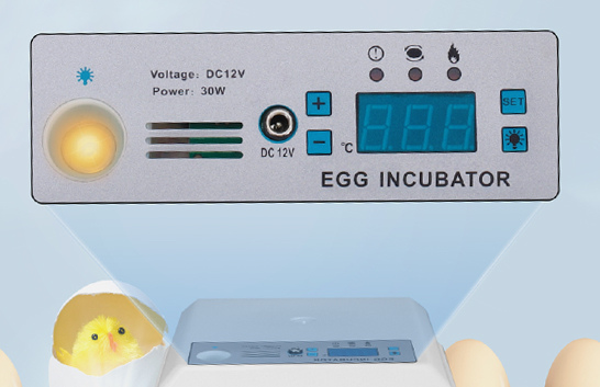 egg-incubator-6-2