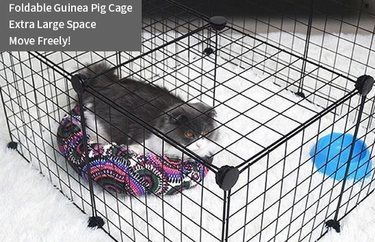 guinea pig cage (1)
