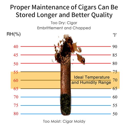 cigar-humidor-3