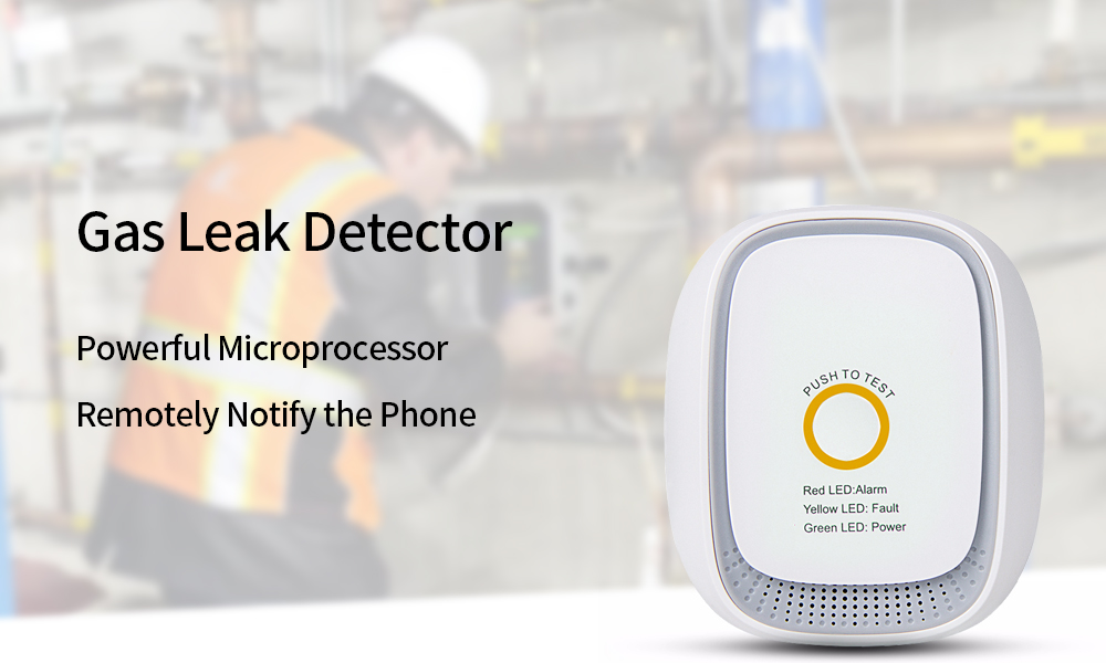 natural-gas-detector-2-5