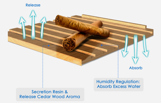 cigar-humidor-4