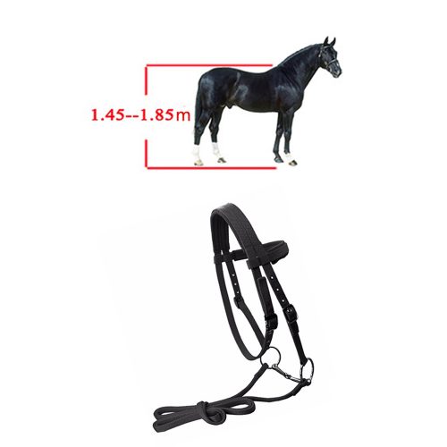 horse-reins-4