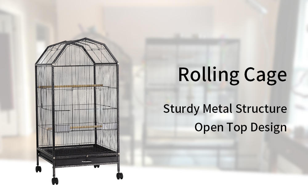 rolling-cage-1-10