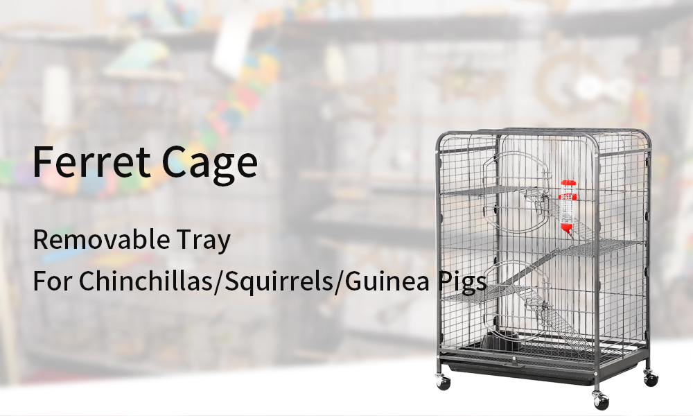 rolling-cage-2-3