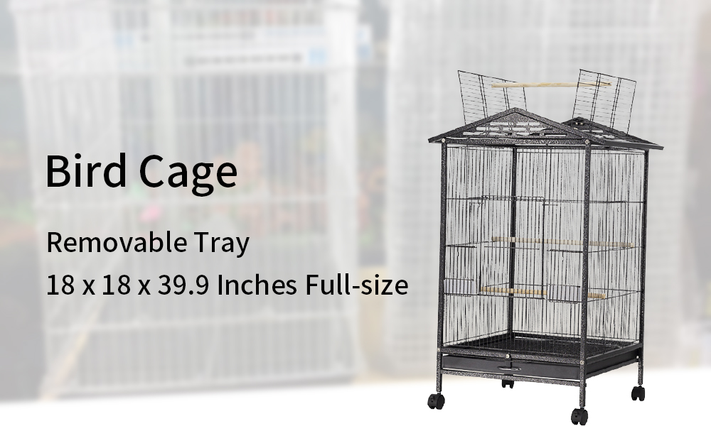 rolling-cage-2-9