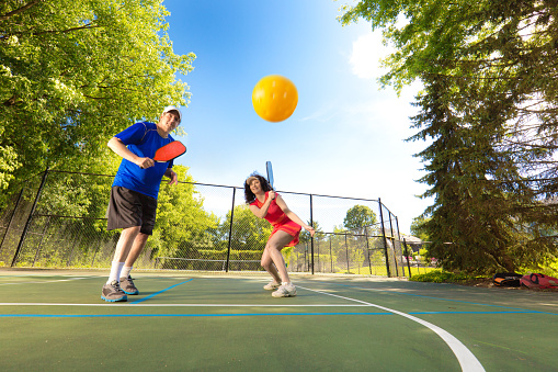 Pickleball Paddle